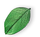 https://vermasoft.de/wp-content/uploads/2025/07/floating_leaf_01.png